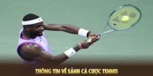 Chinh Phục Cá Cược Quần Vợt Hi88 Với Tỷ Lệ Thưởng Hấp Dẫn